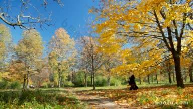 两个女孩在秋天的公园里收集金色的树叶